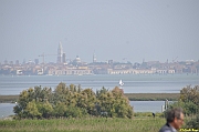 Parco San Giuliano  - 207